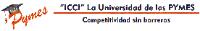 ICCI PYMES ICCI LA UNIVERSIDAD DE LAS PYMES COMPETITIVIDAD SIN BARRERAS