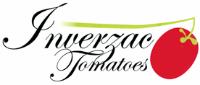 INVERZAC TOMATOES