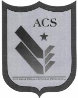 ACS SEGURIDAD PRIVADA INTEGRAL PROFESIONAL