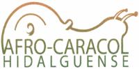 AFRO-CARACOL HIDALGUENSE
