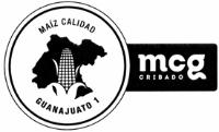 MAÍZ CALIDAD GUANAJUATO 1 MCG CRIBADO