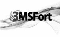 3MSFORT