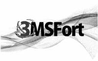 3MSFORT