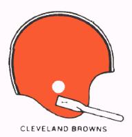 DETROIT LIONS