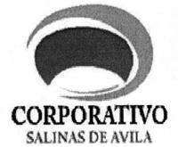 CORPORATIVO SALINAS DE AVILA