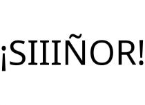 ¡SIIIÑOR!