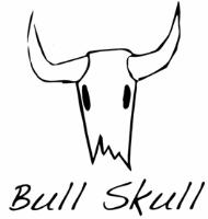BULL SKULL