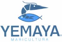 YEMAYA