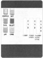 OX/PCC NIT S.G. GLUT PH CRE C 1 2 C 1 2 C 1 2 3 1 AMP 1 BAR 1MAMP 2 BZO 2 COC 3 THC