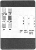 OX/PCC NIT S.G. GLUT PH CRE C 1 2 C 1 2 C 1 2 3 1 AMP 1 BZO 1MAMP 2 OPI 2 BAR 2 COC 3 THC