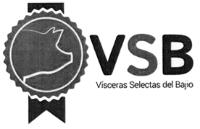 VSB VISCERAS SELECTAS DEL BAJIO