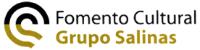 FOMENTO CULTURAL GRUPO SALINAS