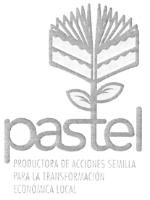 PASTEL PRODUCTORA DE ACCIONES SEMILLA PARA LA TRANSFORMACIÓN ECONÓMICA LOCAL