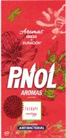 PINOL AROMAS MULTIUSOS THERAPY ENERGY