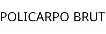 POLICARPO BRUT
