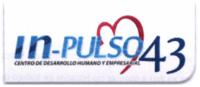 IN-PULSO 43