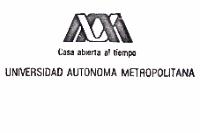 UAM CASA ABIERTA AL TIEMPO UNIVERSIDAD AUTONOMA METROPPLITANA