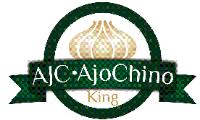 AJC AJO CHINO KING Y DISEÑO