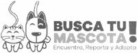 BUSCA TU MASCOTA!