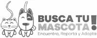 BUSCA TU MASCOTA!