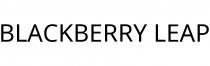 BLACKBERRY LEAP