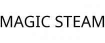 MAGIC STEAM