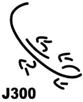 J300
