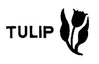 TULIP