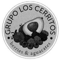GRUPO LOS CERRITOS BERRIES & AGUACATES