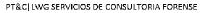 PT&C LWG SERVICIOS DE CONSULTORIA FORENSE