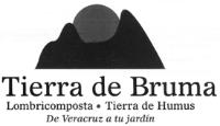 TIERRA DE BRUMA