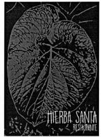 HIERBA SANTA