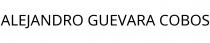 ALEJANDRO GUEVARA COBOS