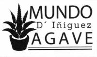 MUNDO D´IÑIGUEZ AGAVE