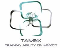 TAMEX TRAINING ABILITY DE MEXICO