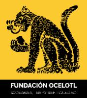 FUNDACIÓN OCELOTL SOCIEDADES; TIEMPO; IDENTIDADES A.C.