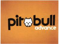 PIT BULL ADVANCE