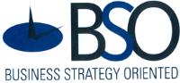 BSO BUSINESS STRATEGY ORIENTED