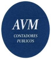 AVM CONTADORES PUBLICOS
