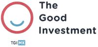 TGIMX THE GOOD INVESTMENT