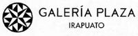 GALERÍA PLAZA IRAPUATO