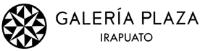 GALERÍA PLAZA IRAPUATO