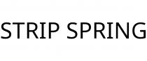 STRIP SPRING