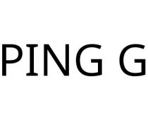 PING G