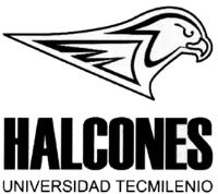 HALCONES UNIVERSIDAD TECMILENIO