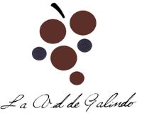 LA VID DE GALINDO