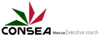 CONSEA EXECUTIVE SEARCH
