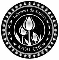 TULIPANES DE XCATZIN KA'AL CHE
