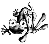 GECKO PROPERTY MANAGEMENT