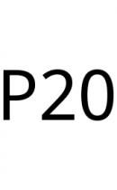 P20